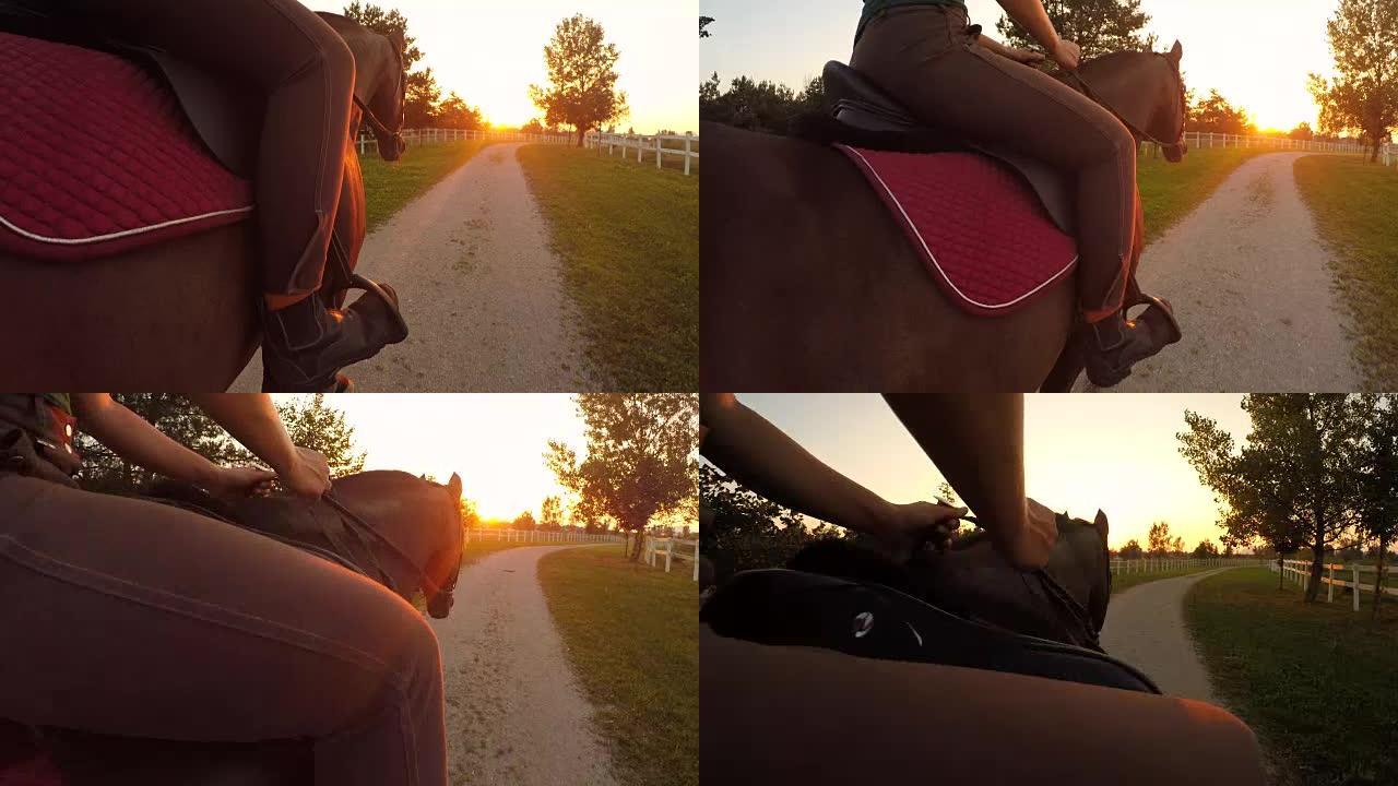 特写: 无法辨认的女骑手骑马骑马进入日落