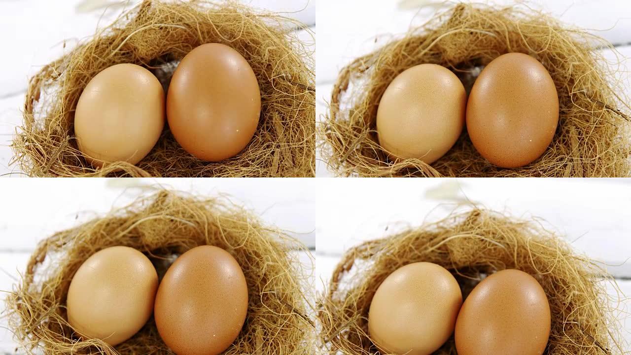 巢中两个棕色的鸡蛋