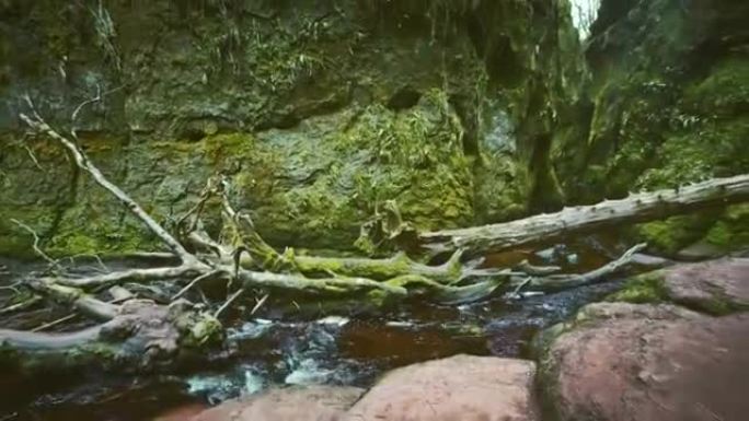山沟。覆盖着苔藓和刹车的岩石