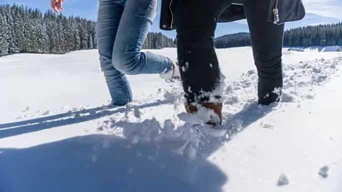 在阳光明媚的冬日在雪地里徒步旅行