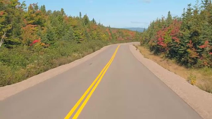 FPV: 沿着空旷的高速公路驶过加拿大的秋叶混交林