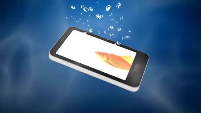 手机上有金鱼掉在水里