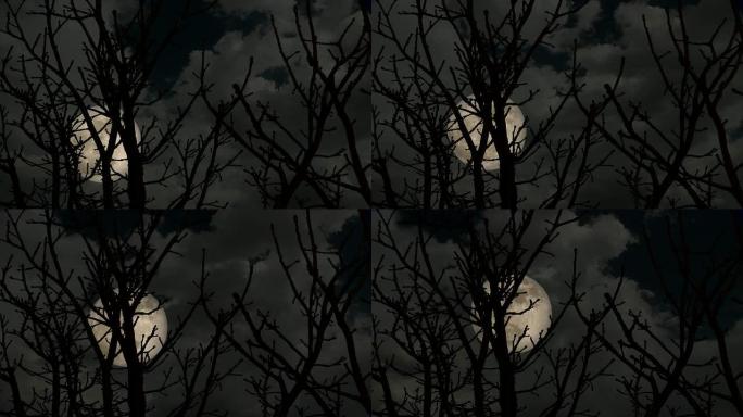 高清超级月亮之夜夜黑上升明月光月球月圆夜