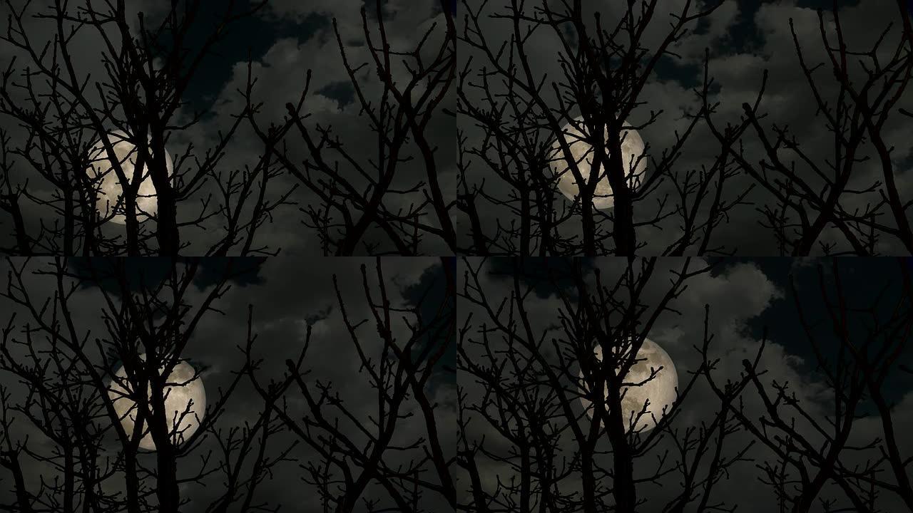 高清超级月亮之夜夜黑上升明月光月球月圆夜
