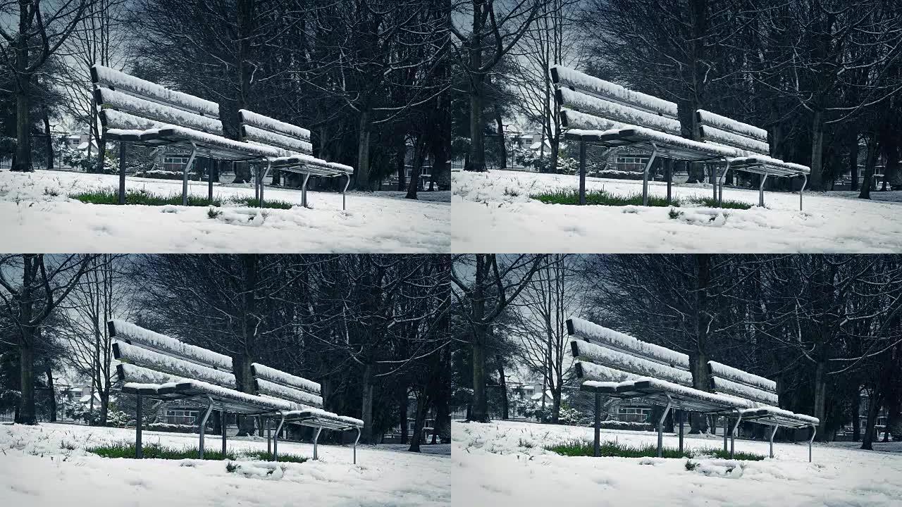 在降雪中越过公园长椅