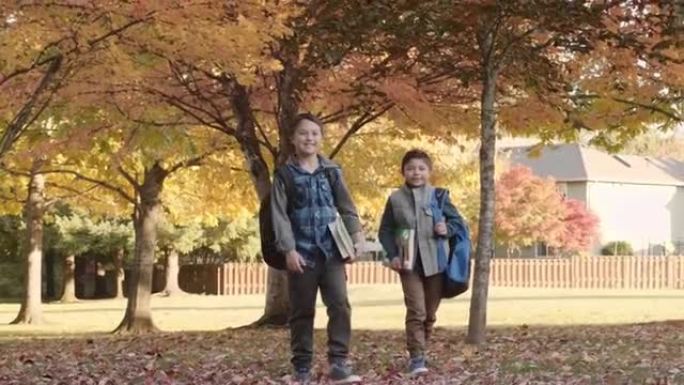两个年轻的兄弟在公园里走过落叶