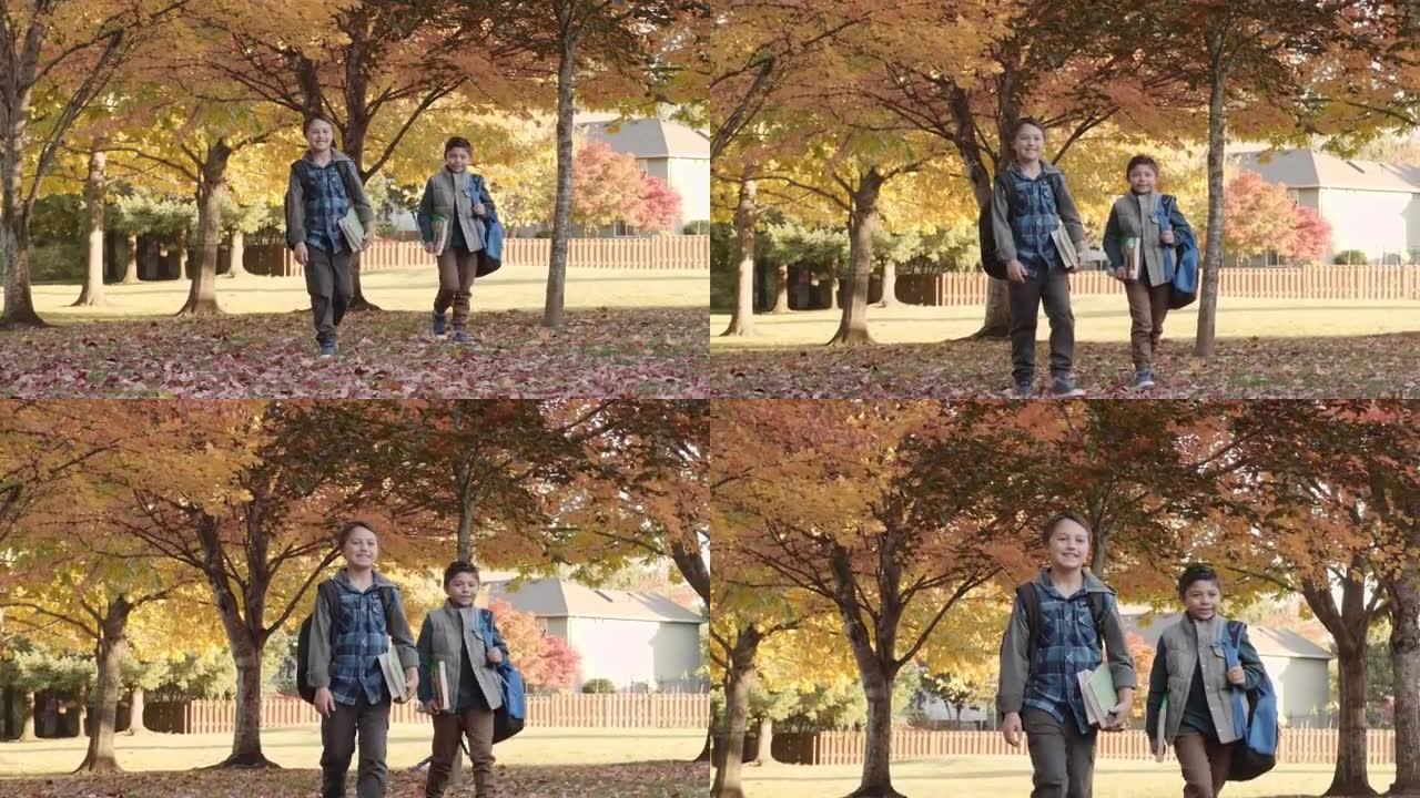 两个年轻的兄弟在公园里走过落叶