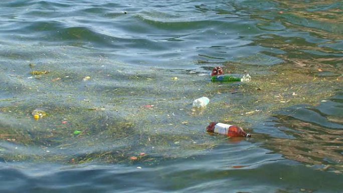 海洋环境污染白色污染漂浮物海洋生态问题