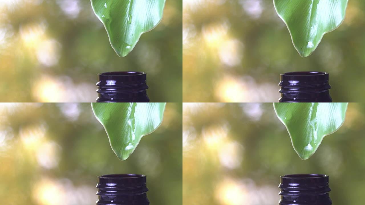4k，许多水滴从绿叶到瓶子，带有复制空间自然绿色背景。