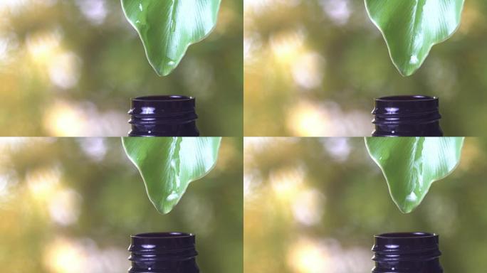 4k，许多水滴从绿叶到瓶子，带有复制空间自然绿色背景。