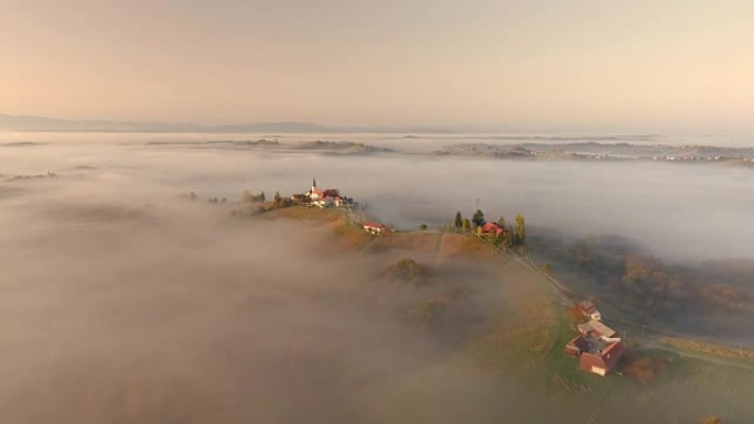 斯洛文尼亚杰鲁扎姆宁静、田园诗般的葡萄园山上雾气之上的WS鸟瞰图建筑