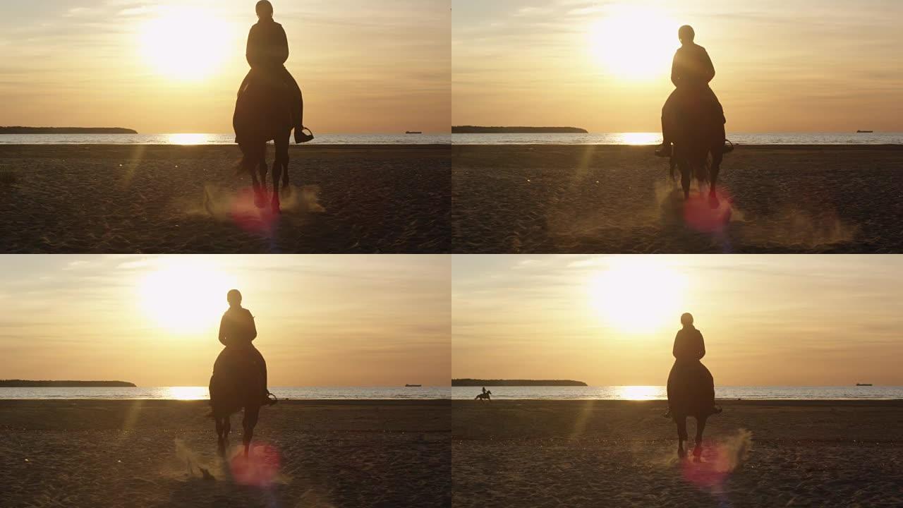 海滩上骑马的年轻骑手的剪影朝着日落的光线移动。后视图。