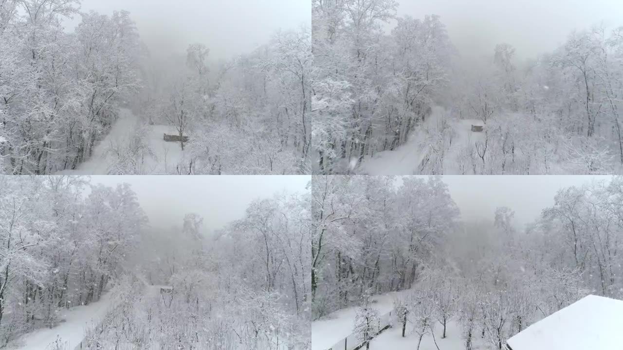 4k无人机视点雪落在森林中田园诗般的白树上，实时