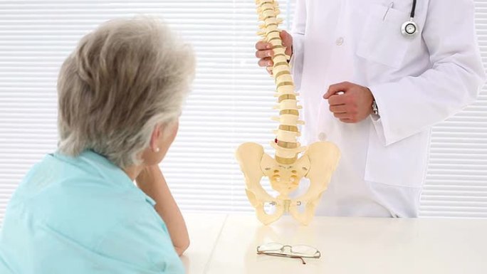 脊医向患者展示脊柱模型