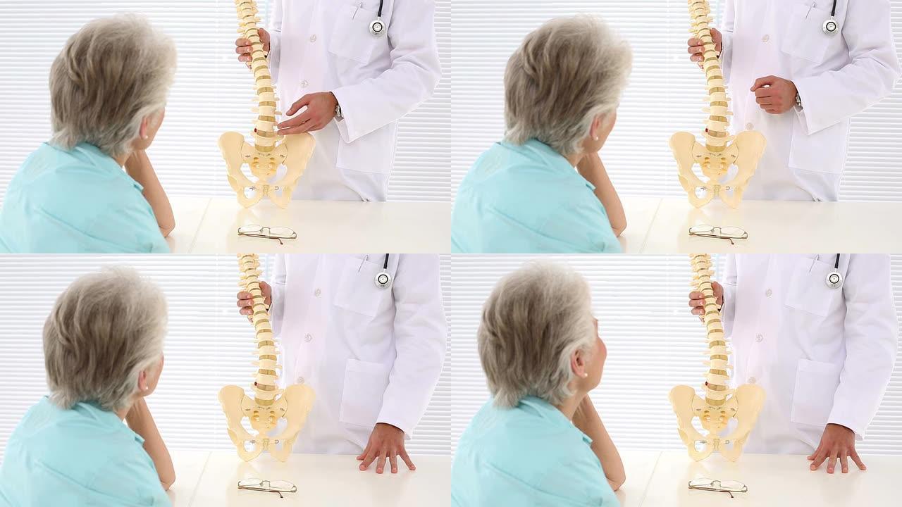 脊医向患者展示脊柱模型