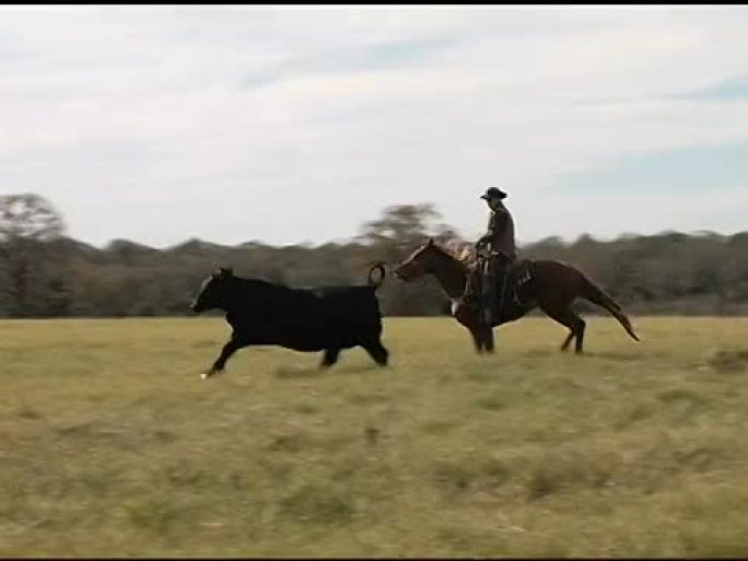 高加索牛仔在德克萨斯牧场骑棕色马