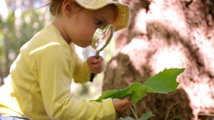 好奇的小孩用放大镜研究叶子
