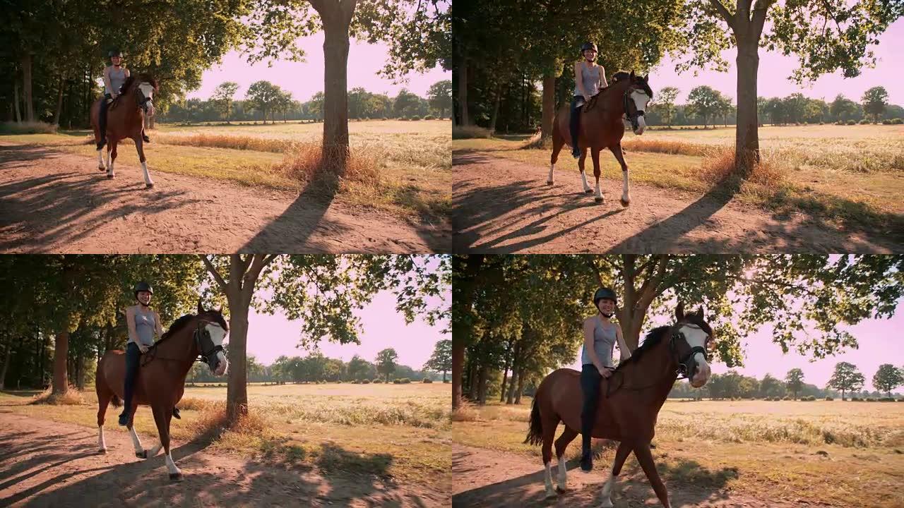 女孩骑着一匹美丽的马在田野旁边