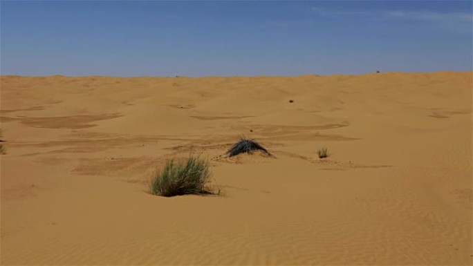 突尼斯撒哈拉沙漠