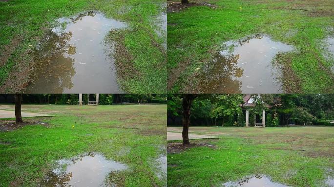 草草坪被淹