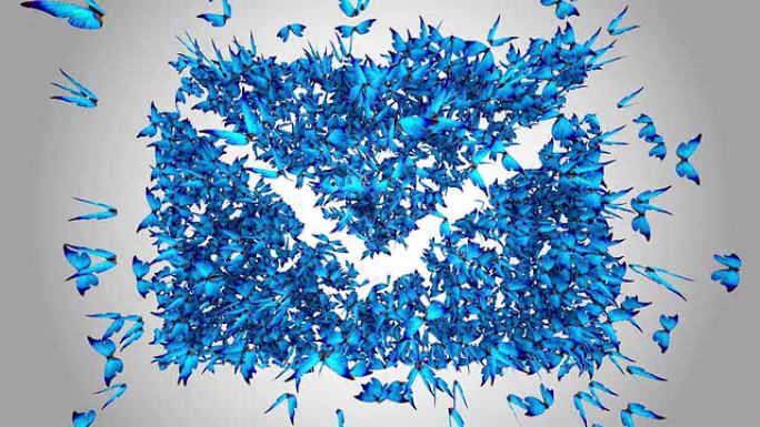 蓝色蝴蝶制作的电子邮件符号-阿尔法