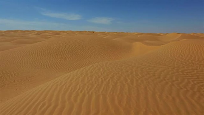 突尼斯撒哈拉沙漠/大东沙海