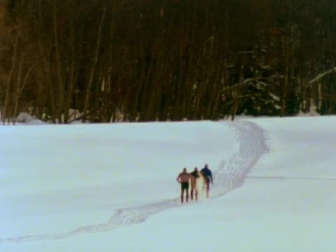 越野滑雪进入树林