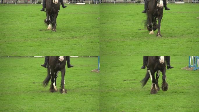 超慢动作高清-跑马