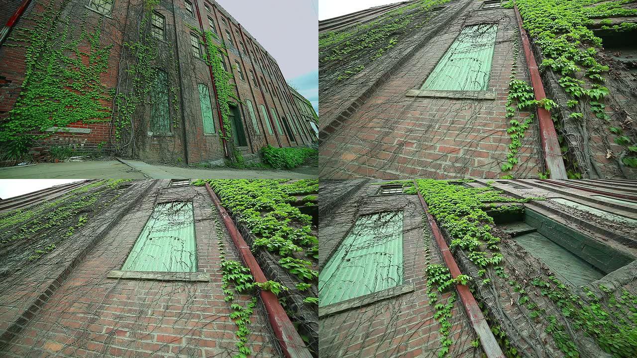 红砖砌成的古老建筑，墙上长着绿色常春藤