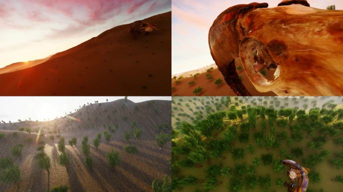 4K沙漠变绿洲日出树木生长动画合集