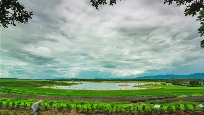 茶园，Time-Lapse