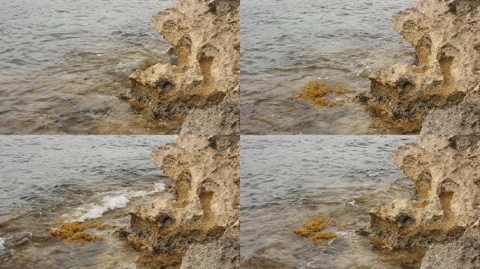 海岸线波浪与海洋植物-马略卡岛健康藻类
