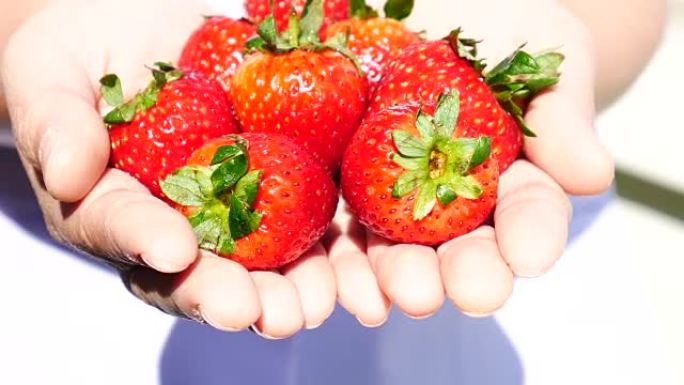 女人手上的草莓，4k(UHD)