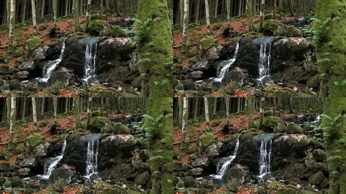 深秋的苏格兰林地和小瀑布