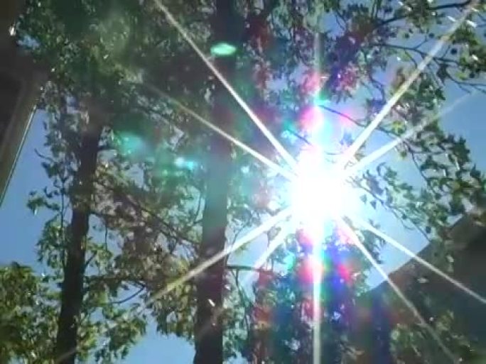 穿过树木的太阳耀斑（NTSC）