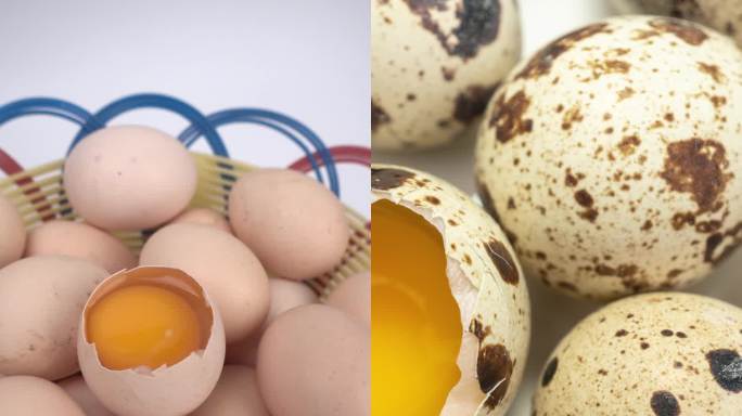 【镜头合集】鸡蛋鹌鹑蛋