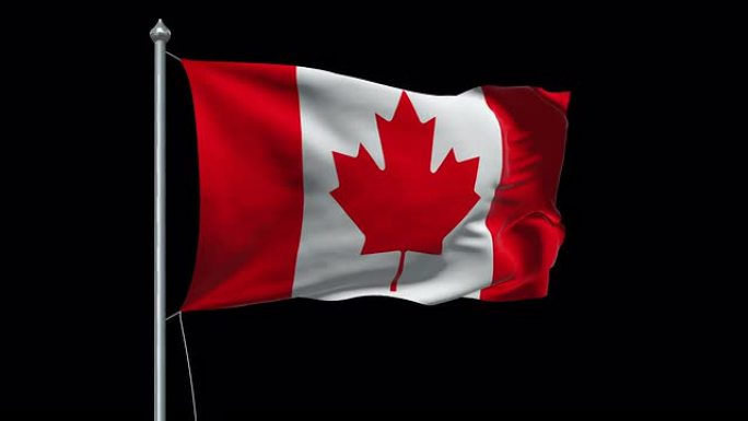 加拿大旗HD 1080, PAL, NTSC, alpha包括，循环
