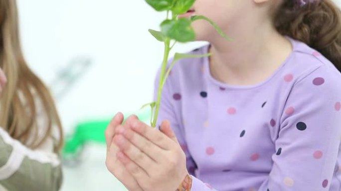 高清：可爱的女孩抱着婴儿植物与地面。