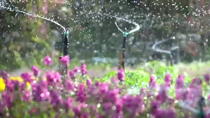 花圃洒水，4k灌溉浇水后花园