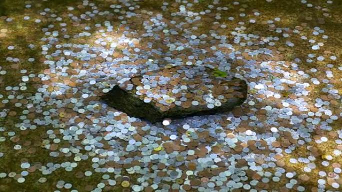 日本装满硬币的许愿池