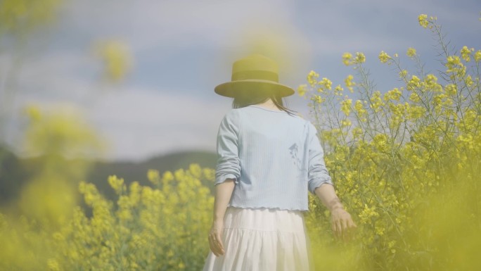 油菜花地美女田间慢步背影户外踏青唯美清新