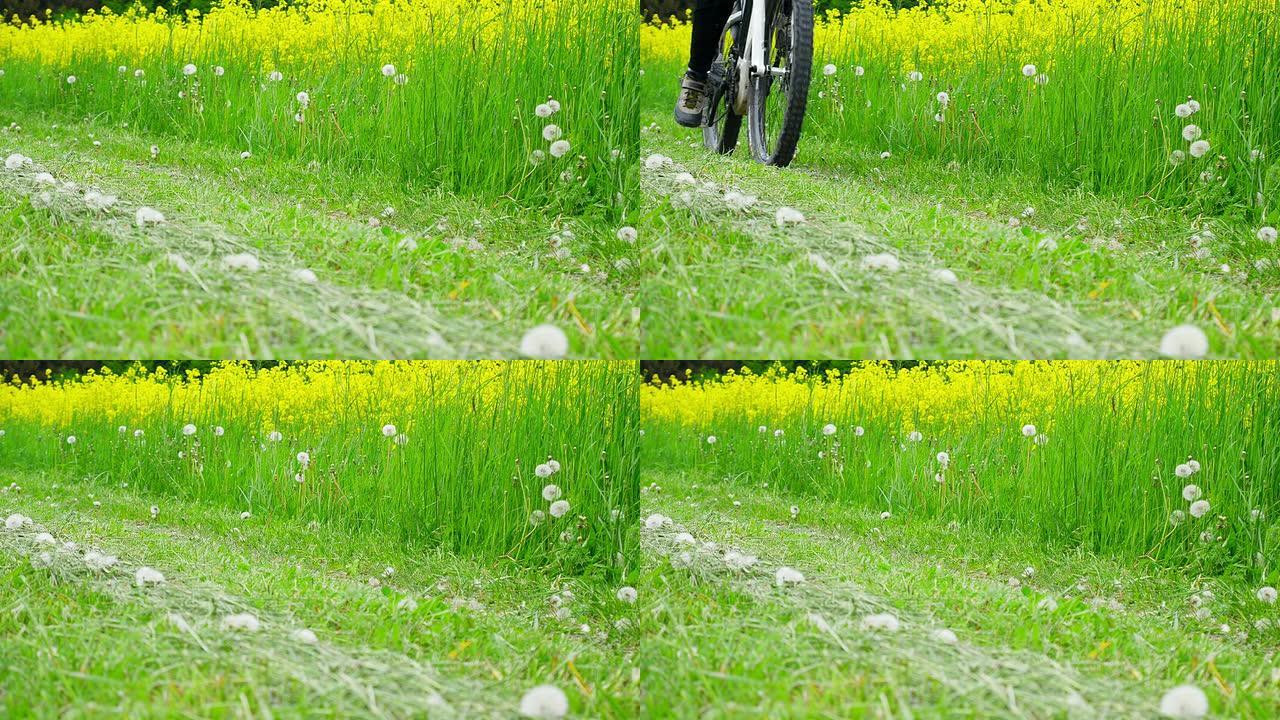 骑电动山地自行车中镜头（4K/UHD到HD）