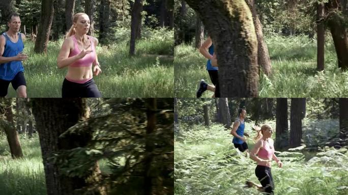 SLO MO DS男人和一个女人在森林中奔跑