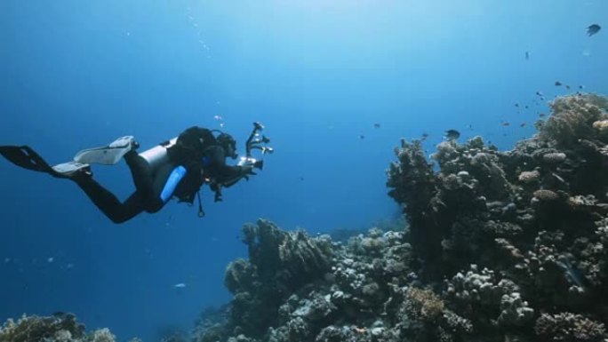 水下视频职业水下摄影探索发现兴趣爱好