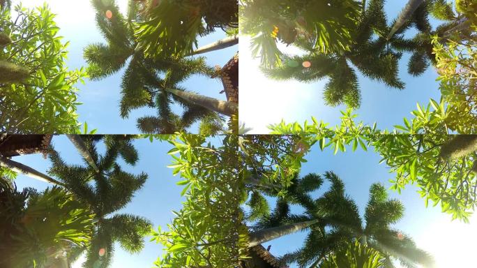 美丽花园360度旋转，延时