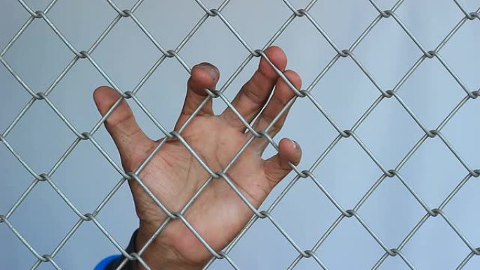 把手放在栅栏后面。