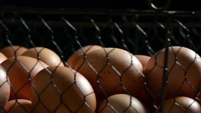 黑底传统篮子里的鸡蛋