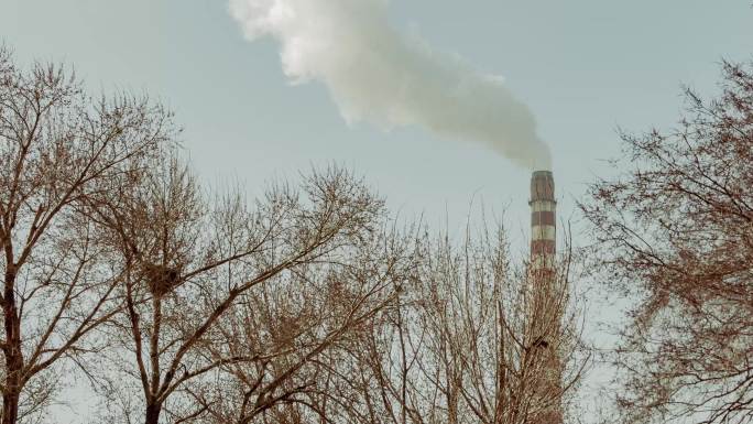 烟囱电厂冒烟雾霾环境通讯电讯电力枯树鸟窝