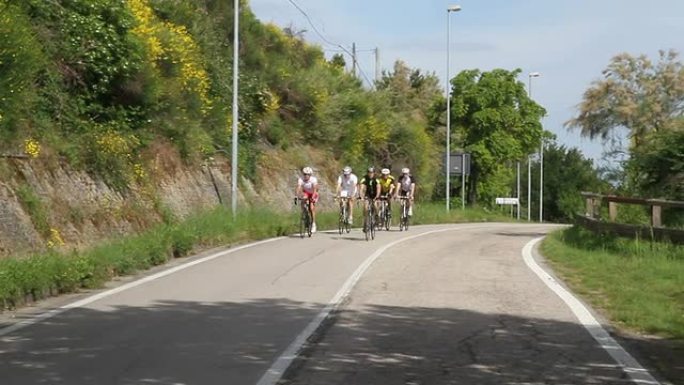 路上的一群骑自行车的人