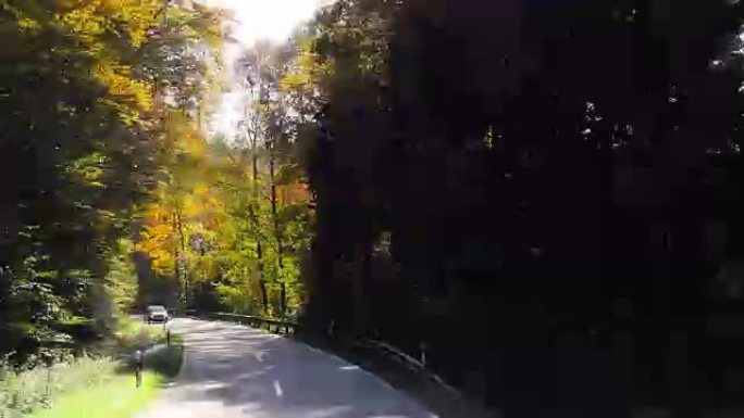 穿越秋季森林 (4K/UHD至高清)